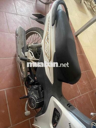 Honda Wave Alpha 2022 Trắng