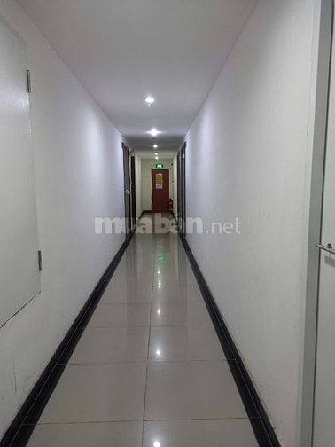 CHÍNH CHỦ CHO THUÊ CĂN GIAI VIỆT FULL NT