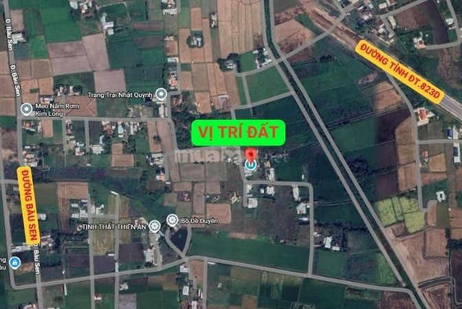Bán đất tích sản lâu dài Đức Hòa, Long An. Chưa đến 8 triệu/m2, SHR
