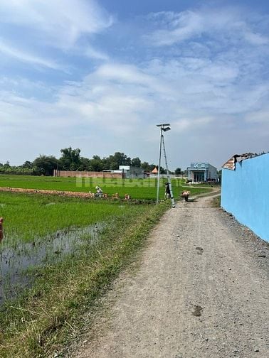 Bán đất tích sản lâu dài Đức Hòa, Long An. Chưa đến 8 triệu/m2, SHR
