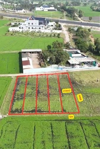 Bán đất tích sản lâu dài Đức Hòa, Long An. Chưa đến 8 triệu/m2, SHR