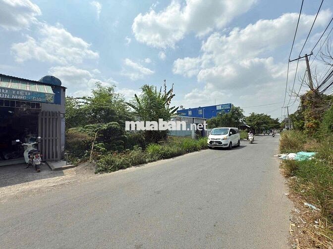 Cần bán đất mặt tiền đường Thân nhân trung 12,78x50
