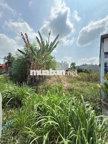 Cần bán đất mặt tiền đường Thân nhân trung 12,78x50