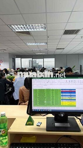 Nhân viên kinh doanh Shinhan Finance Quận 1