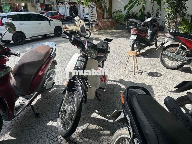 Honda Dream Cửu Long Trắng
