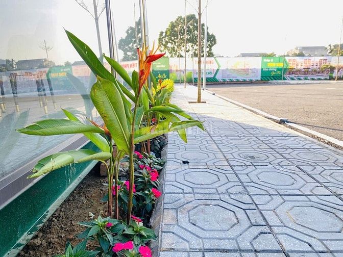 Xu Hướng Mới 2026: Bỏ Phố Về Hòa Lạc Sở Hữu Nhà Vườn Đẳng Cấp!”