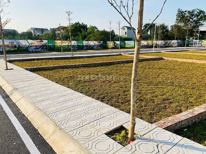 Xu Hướng Mới 2026: Bỏ Phố Về Hòa Lạc Sở Hữu Nhà Vườn Đẳng Cấp!”