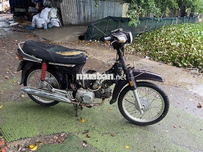 Honda Dream màu Tím Đã sử dụng