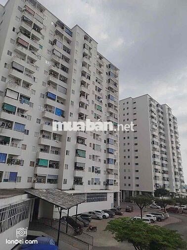 Cần bán Chung cư Lê Thành Tân Tạo