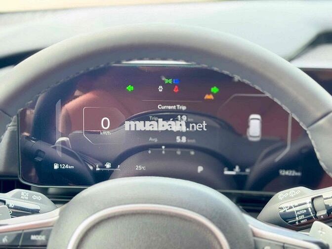 Kia Carnival Signature 2025 12000 km