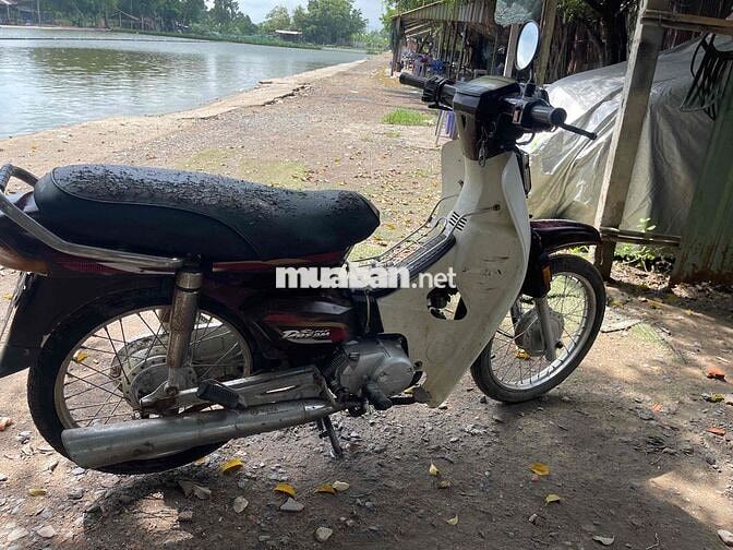 Honda Dream màu Nâu trắng