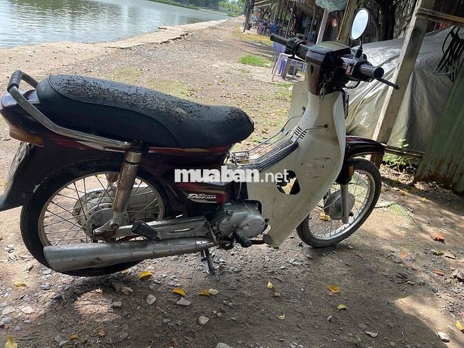Honda Dream màu Nâu trắng