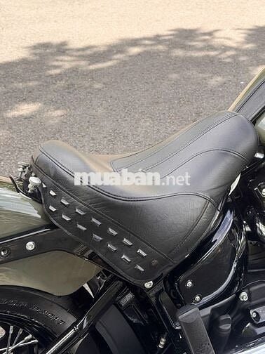 Harley-Davidson Heritage 2021 odo 5300 miles