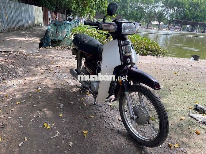 Honda Dream màu Nâu trắng