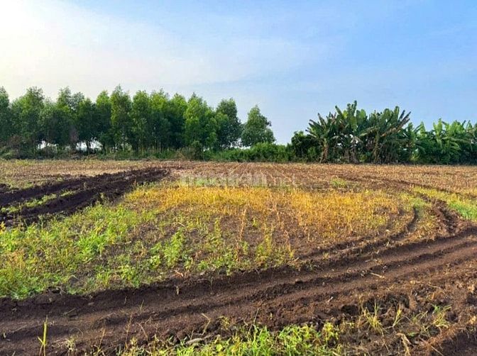 🌿 ĐẤT FULL HỒNG – 1020mv - PHƯỚC LONG THỌ (BRVT) 🌿