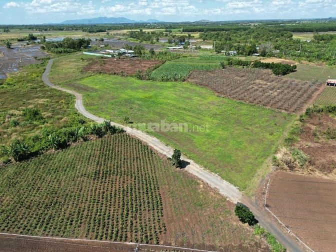 🌿 ĐẤT FULL HỒNG – 1020mv - PHƯỚC LONG THỌ (BRVT) 🌿