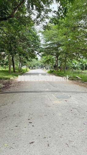 BIỆT THỰ 300m² TẠI KHU ĐÔ THỊ HÀ PHONG  KHÔNG GIAN SỐNG ĐẲNG CẤP