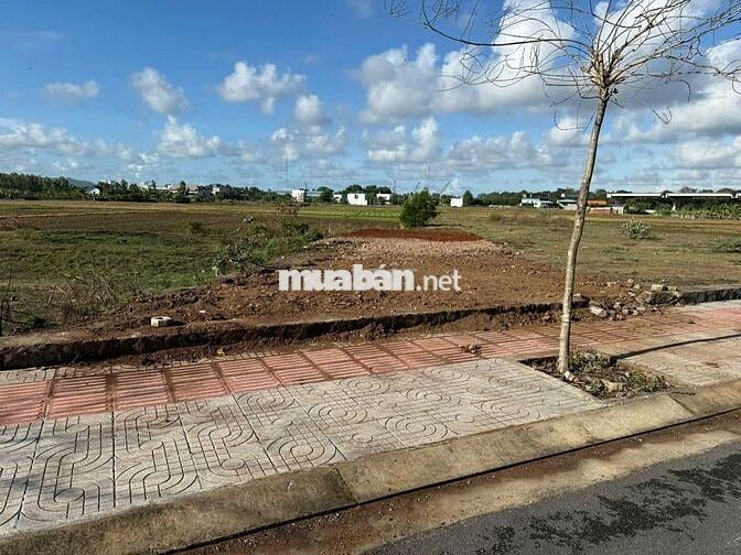 bán lô đất trong khu tái định cư hòa long