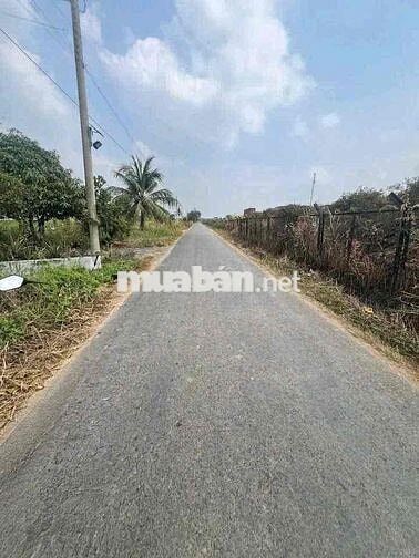 càn bán 500m2 thổ cư ấp 4 thạnh đức mặt tiền nhựa công vụ 8m