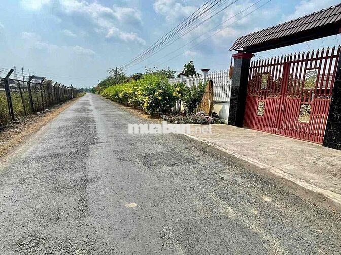 càn bán 500m2 thổ cư ấp 4 thạnh đức mặt tiền nhựa công vụ 8m
