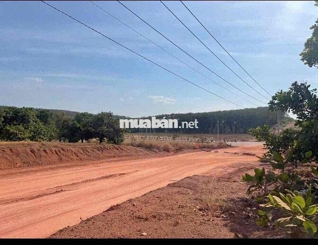 Lô đất mặt tiền xuyên tâm Tân Hưng - Tân Lập