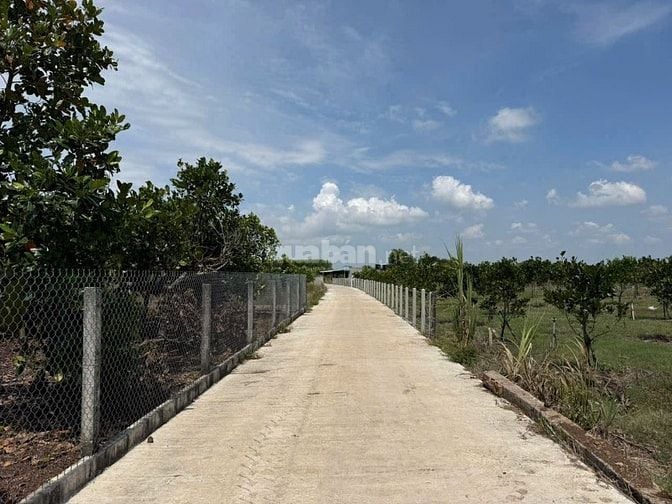 🏡 BÁN ĐẤT MẶT TIỀN BÊ TÔNG LÁNG DÀI (BRVT)– GIÁ SIÊU MỀM CHỈ TỪ 570tr
