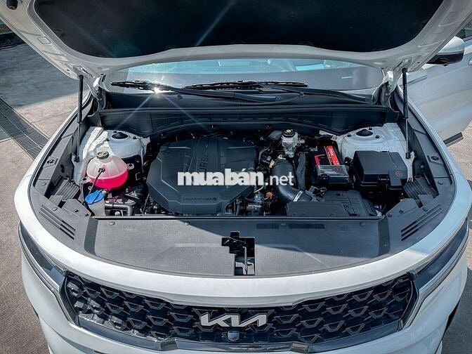 Kia Sorento 2022 2.2D Signature Trắng