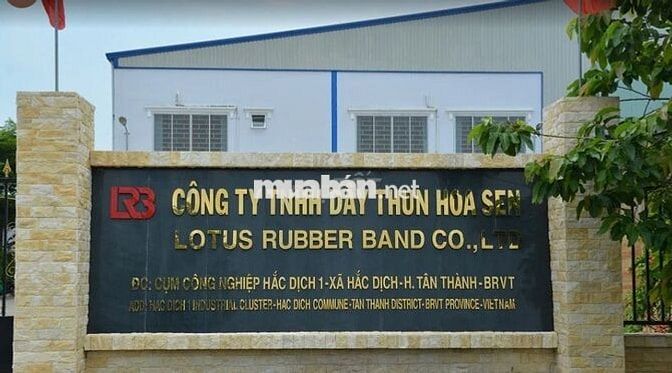 Công nhân sản xuất tại nhà máy Dây thun cao su