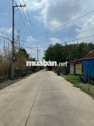 CẦN  BÁN ĐẤT VƯỜN THỔ CƯ TÂN AN HỘI-MT ĐƯỜNG 387- 26x20M-CHỈ 2TỶ X