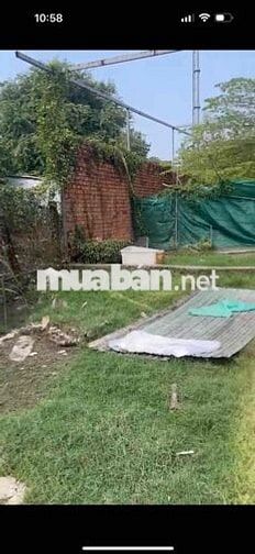 Chính Chủ bán 546m2 Thổ Cư Bình Chánh , DT 15x39 , SHR , XD Tự Do
