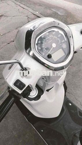 Grande 2018 siêu phẩm zin 100%bs 60 co góp