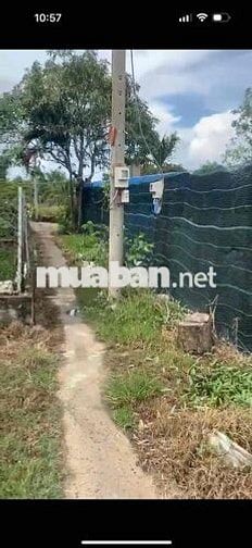 Chính Chủ bán 546m2 Thổ Cư Bình Chánh , DT 15x39 , SHR , XD Tự Do