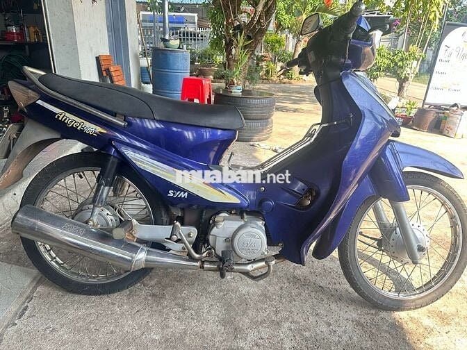 SYM Angel 100 Xanh Đã sử dụng