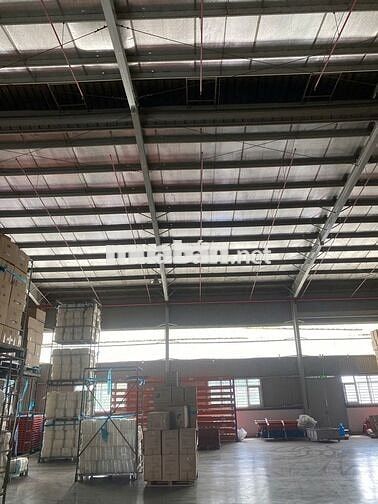 Cho thuê kho xưởng trong KCN Tân Tạo, Bình Tân – 3.000m2, PCCC tự động