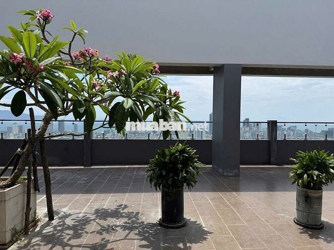 CHO THUÊ MẶT BẰNG DT 487,5 M2 NGAY MONARCHY, TRẦN HƯNG ĐẠO, SƠN TRÀ