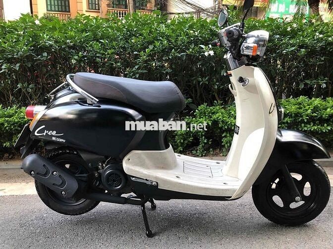 Scoopy Cree 2021 Đen, Trắng