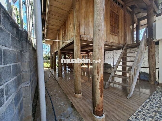 Bán nhà vườn, P Tân An, TP Buôn Ma Thuột, Đắk Lắk, giá 3,65 tỷ.