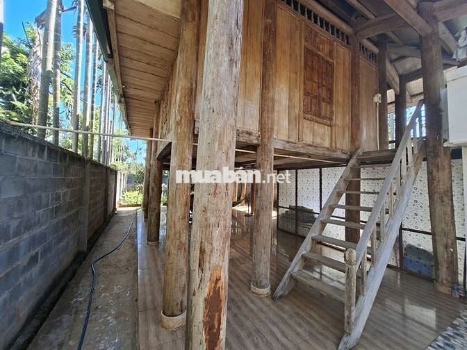 Bán nhà vườn, P Tân An, TP Buôn Ma Thuột, Đắk Lắk, giá 3,65 tỷ.
