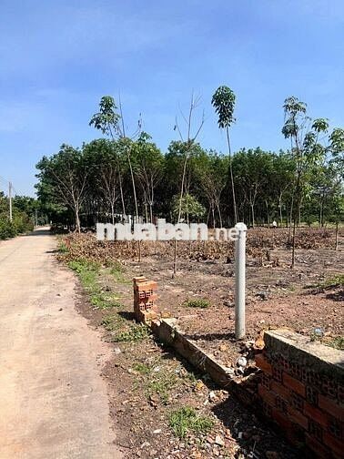 Chính Chủ Gửi Bán 414m2 Đất, Sổ Riêng, TC 100m2, Giá 500tr Bao Sổ