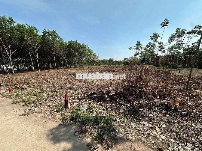 BÁN 2 LÔ ĐẤT 460m2, SỔ RIÊNG, ĐƯỜNG BÊ TÔNG 8M, GIÁ BAO SỔ CHỈ 760TR 