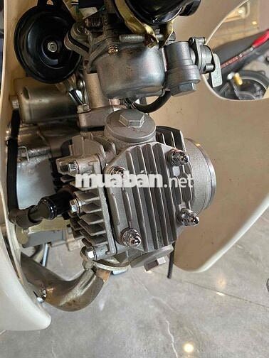Espero C50 2024 Xanh trắng 3900 km