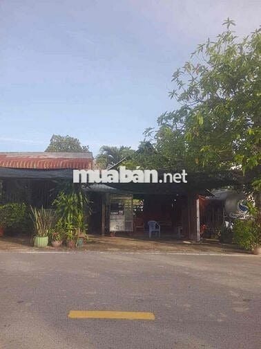 Bán Đất Mặt Tiền Đường Nhựa Võ Văn Điều Xã Trung Lập Thượng