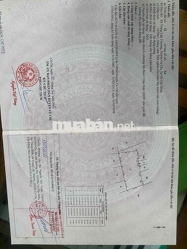 Bán Đất Mặt Tiền Đường Nhựa Võ Văn Điều Xã Trung Lập Thượng