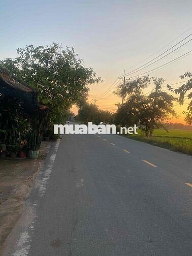Bán Đất Mặt Tiền Đường Nhựa Võ Văn Điều Xã Trung Lập Thượng