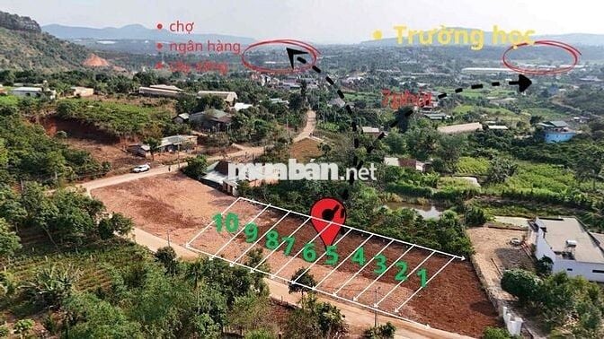 Dự án đất nghỉ dưỡng giá rẻ ở ven Đà Lạt -550tr-sổ sẵn có thổ cư