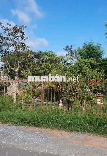 chủ cần bán lô đất 5800m2 hóc môn 