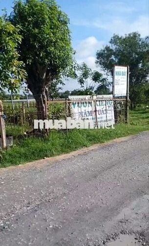 chủ cần bán lô đất 5800m2 hóc môn 