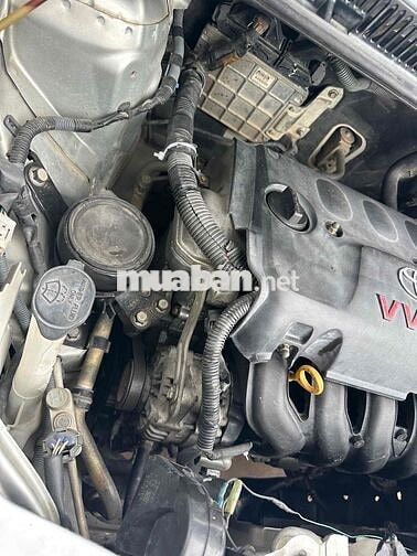 Toyota Vios Tự động Bạc