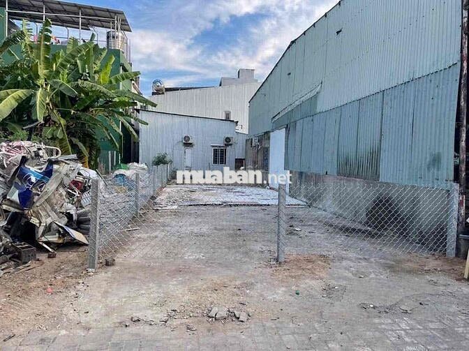 Lô đường Mẹ Thứ, Hoà Xuân, Đà Nẵng.  🍀DT: 100 m2, lên số nhà 251