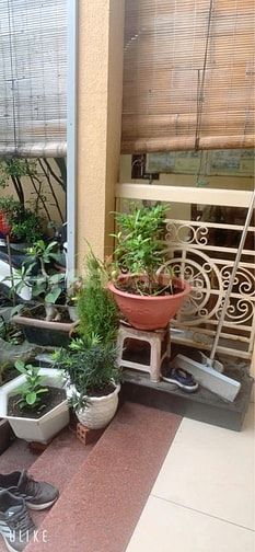 BÁN VILLA THUỘC LINH CHIỂU. THỦ ĐỨC. DT:160M2. GIÁ 19 TỶ